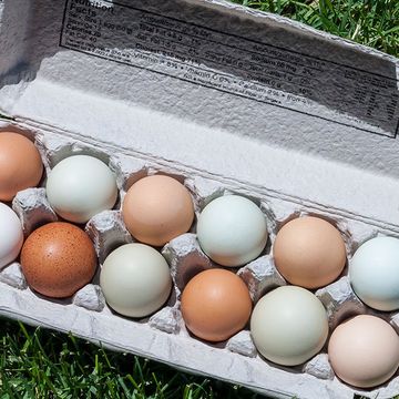 kinds of eggs nutritional difference