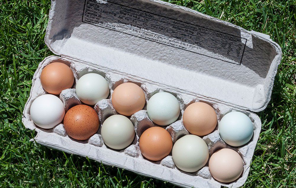 kinds of eggs nutritional difference