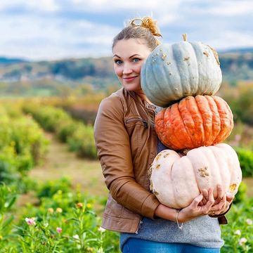 Everything you need to know about pumpkins