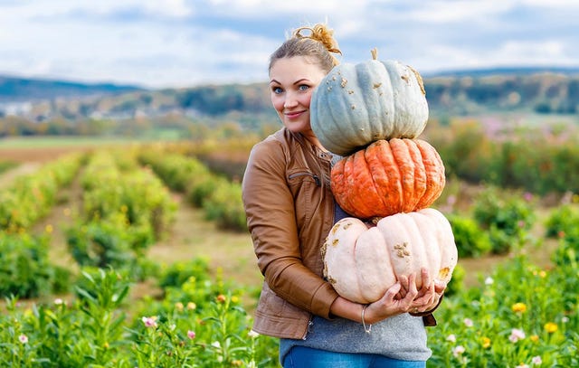 Everything you need to know about pumpkins