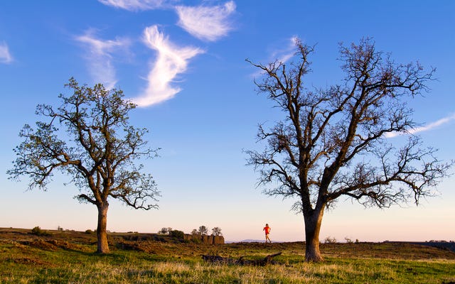 Rave Run March 2016