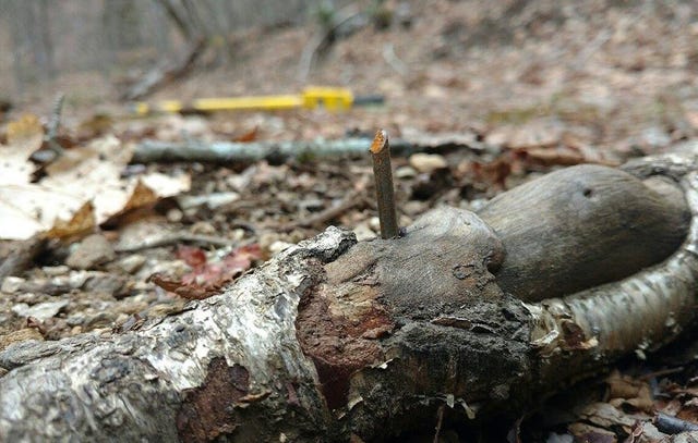 Pinnacle Park nail