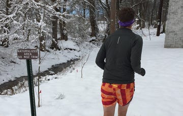 Kit Fox long run