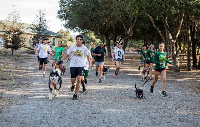 Members of the St. Joseph High School cross-country team take the shelter dogs out on a run. 