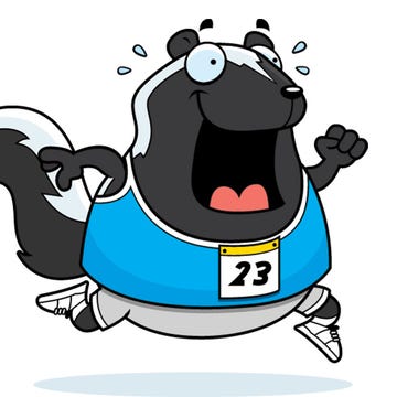 a skunk running a race a skunk running a race