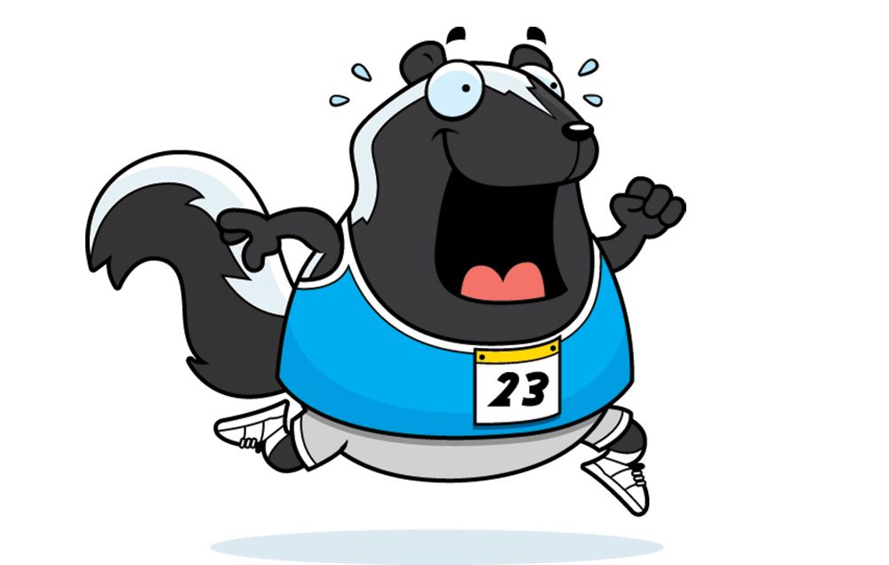 a skunk running a race