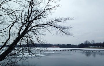 the lake`