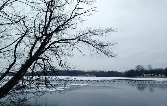the lake`