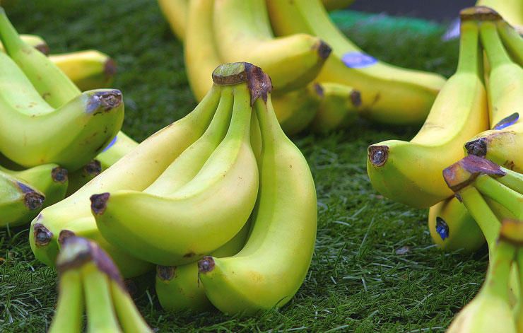 bananas