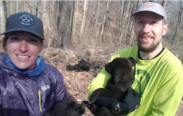 barkley marathons puppies