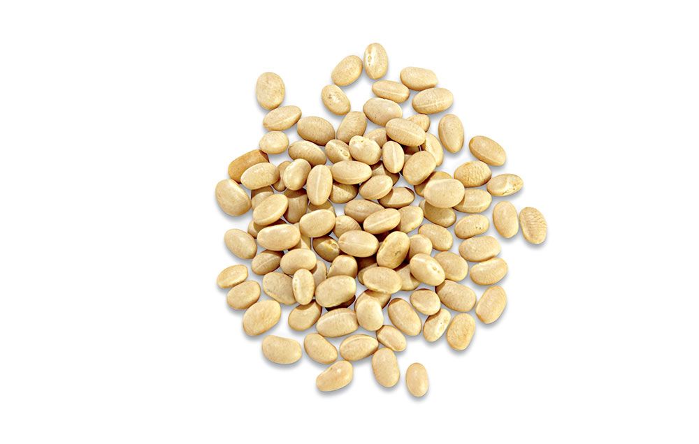 white beans