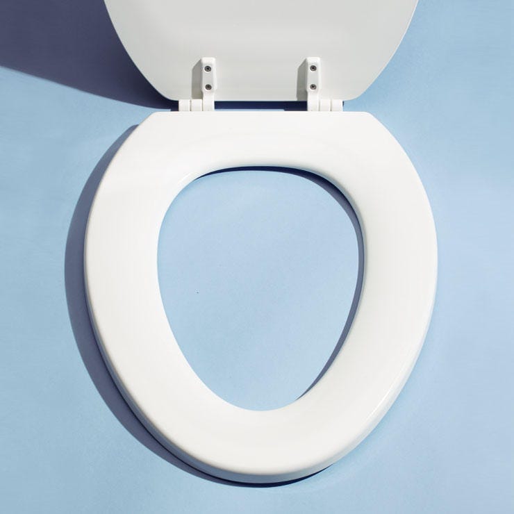 Toilet Seat