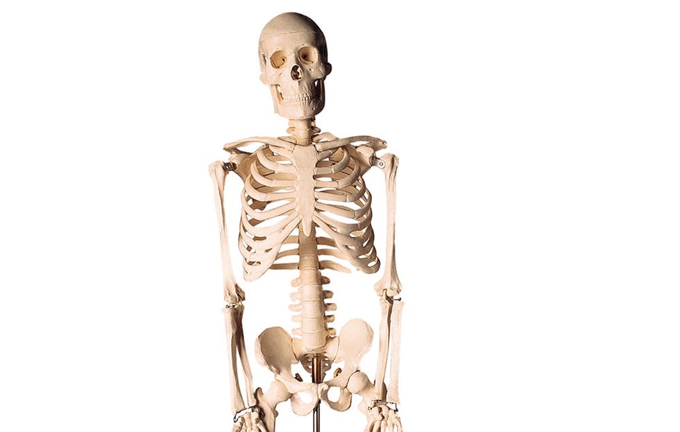 Bones