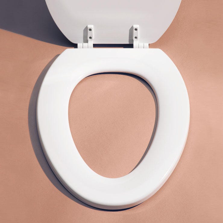 Toilet Seat