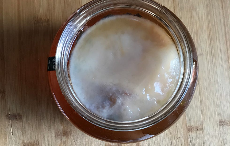Kombucha, Food, Rice water, Cuisine, 