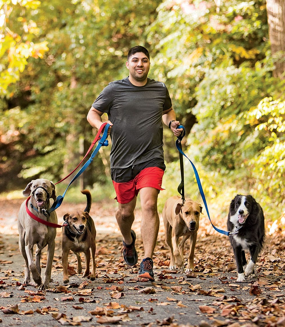 running with dogs