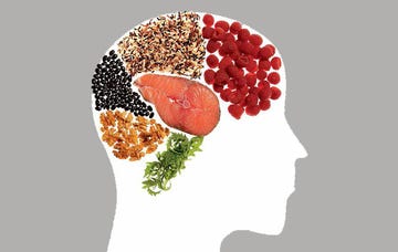 Food Brain