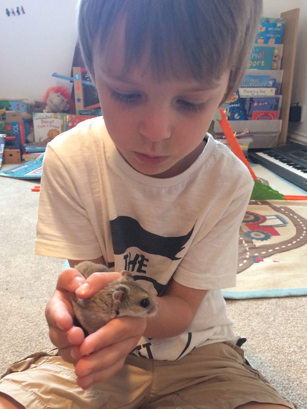 frank and hamster 