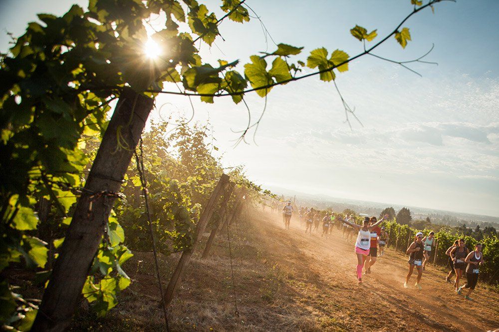 Branch, Leaf, People in nature, Sunlight, Trail, Sun, Morning, Endurance sports, Dirt road, Running, Branch, Leaf, People in nature, Sunlight, Trail, Sun, Morning, Endurance sports, Dirt road, Running,