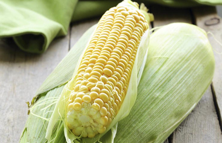 Corn