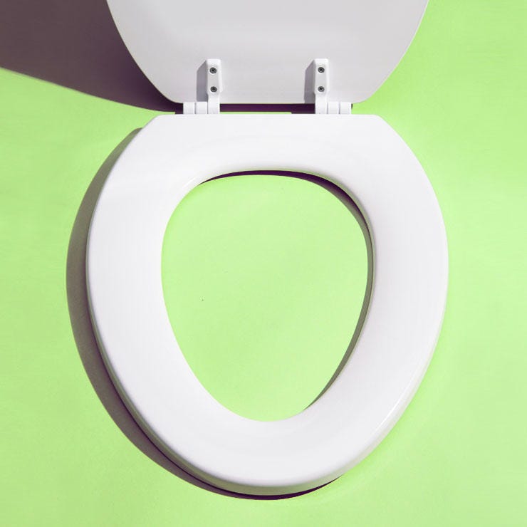 Toilet Seat