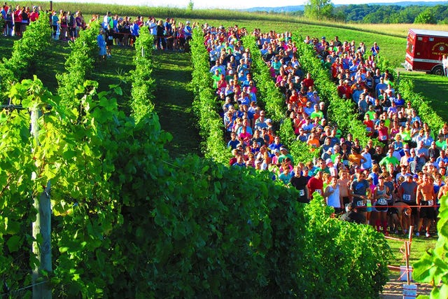 Harvest Stompede race