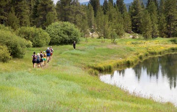 runners on trail