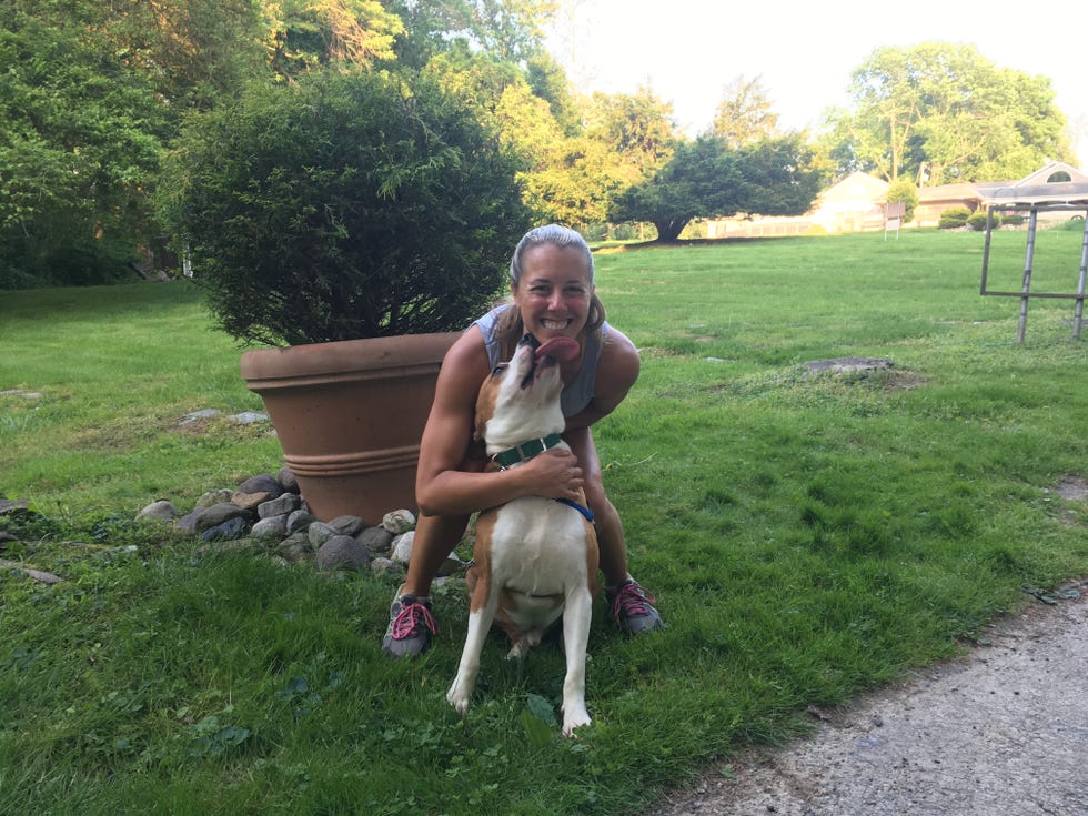 The Providence Animal Center's Dog Trotters program helps high energy dogs get adopted. 