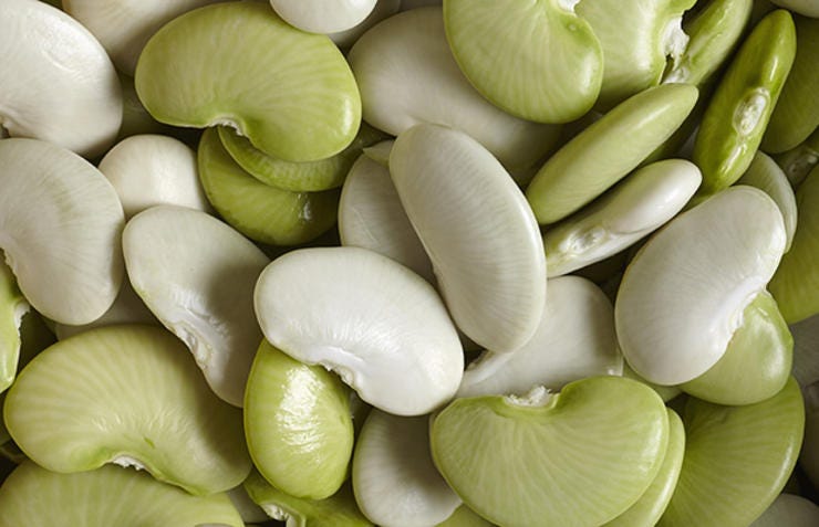 Lima Beans