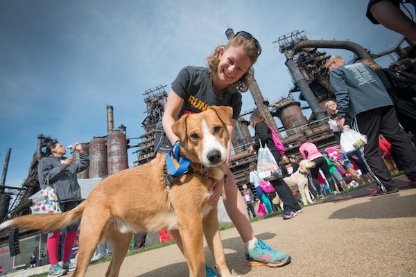 Runners World Half and Festival dog run