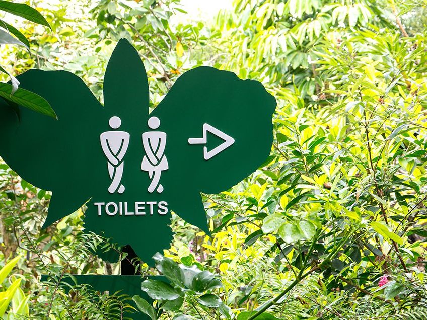8 Practical Ways to Deal With Pee Problems on the Run
