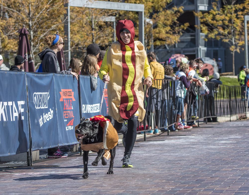 Dog Runners