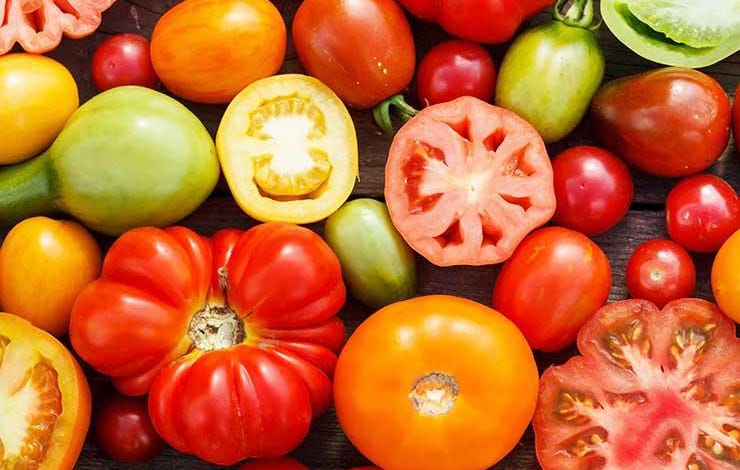 tomatoes
