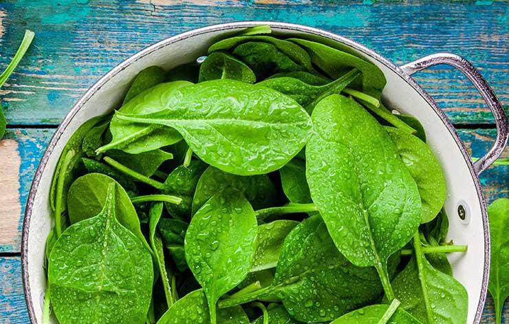 spinach