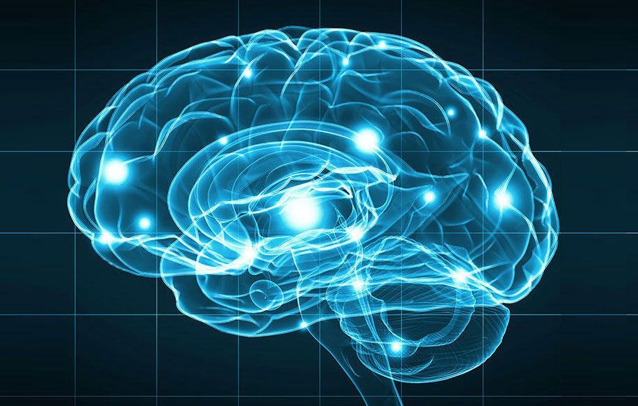 Brain scan