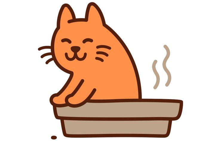 cat in cat box