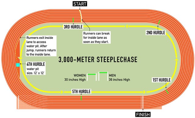 Track and Field - Know All the Running, Jumping, and Throwing Events