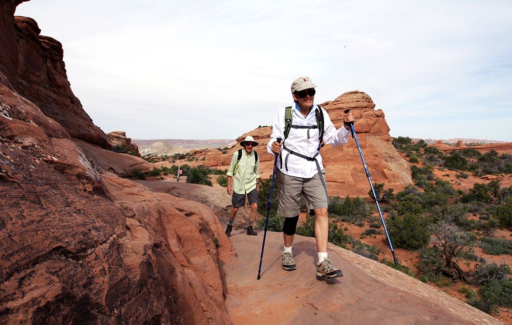 walking poles