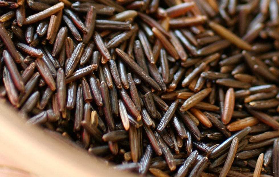 Wild Rice