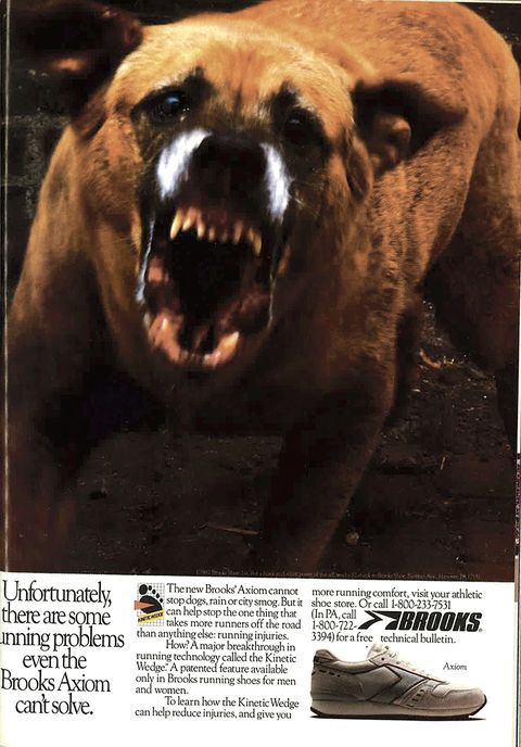 Brooks ad with wild dog