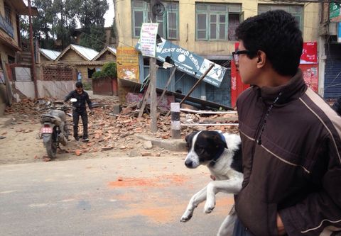 Een man in Kathmandu doorzoekt de puinhopen in Kathmandu Internationale hulpverleners probeerden in de eerste dagen na de aardbeving het dodental en de volle omvang van de schade vast te stellen