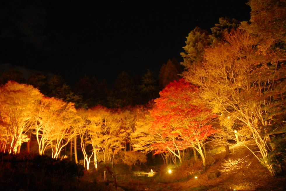 日本關西秋季一日遊行程推薦！六甲藝術祭回歸、跟著巴士團大啖近江牛，再加碼白桃吃到飽