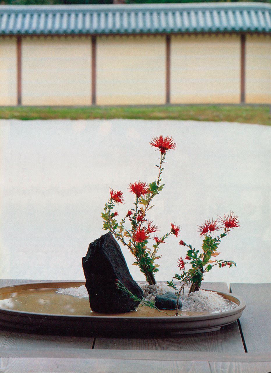 11月のいけばな 「京都・嵯峨野の菊花の宴」【生け花、いけばな、生花