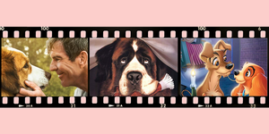 犬好きの人におすすめしたい「犬映画」﻿22選！愛らしいワンちゃんたちが織りなす、あっと驚くようなストーリーにはきっと胸を打たれるはず――。﻿ 私たちを癒してくれるワンちゃんたちの愛らしい姿は必見です！