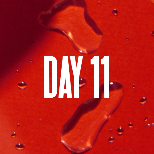 day 11