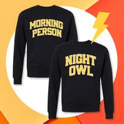 morning person night owl sweater