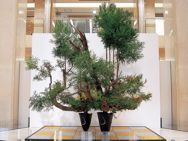 11月のいけばな 「京都・嵯峨野の菊花の宴」【生け花、いけばな