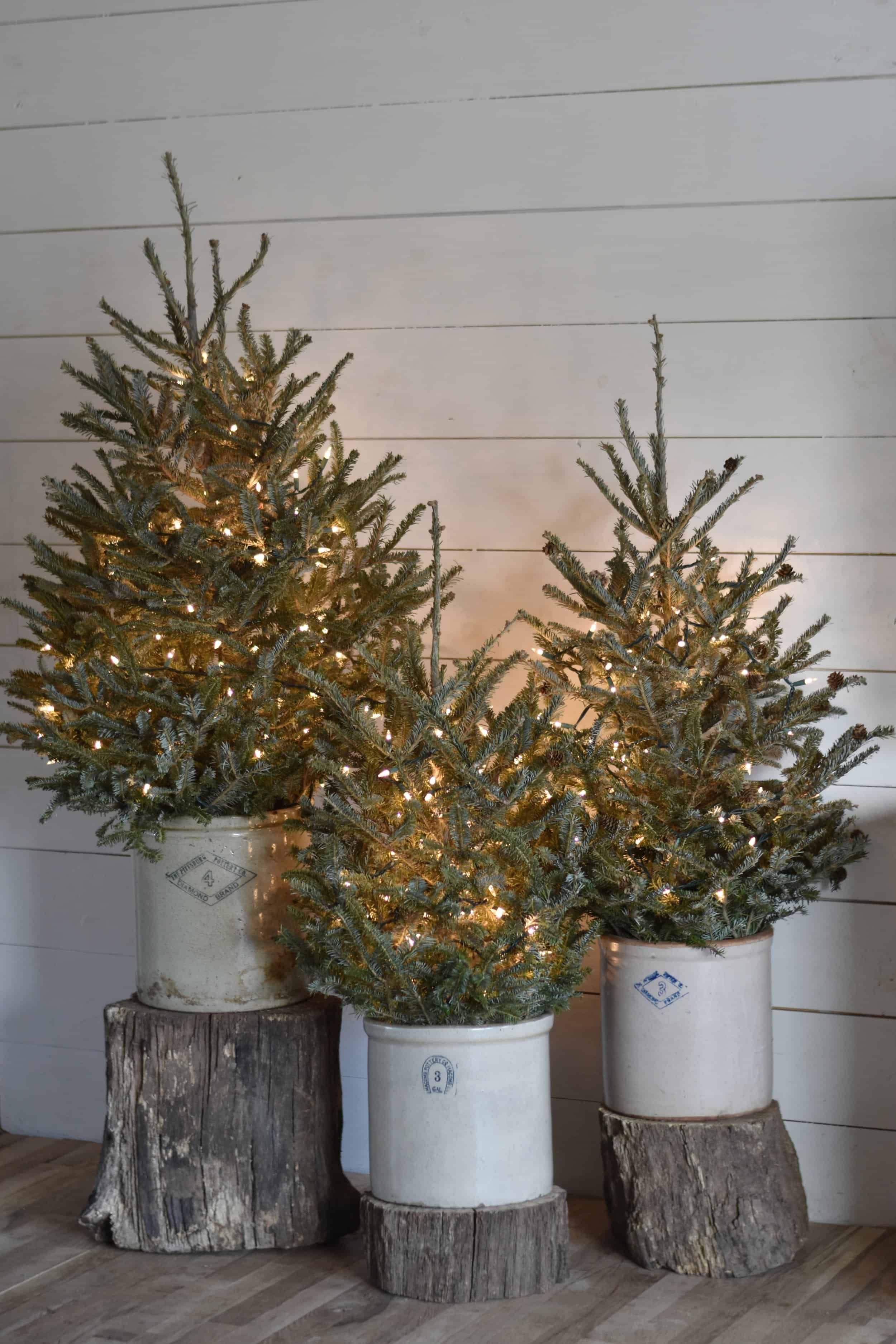 8 Christmas Tree Decorating Mistakes - How to Decorate a Tree