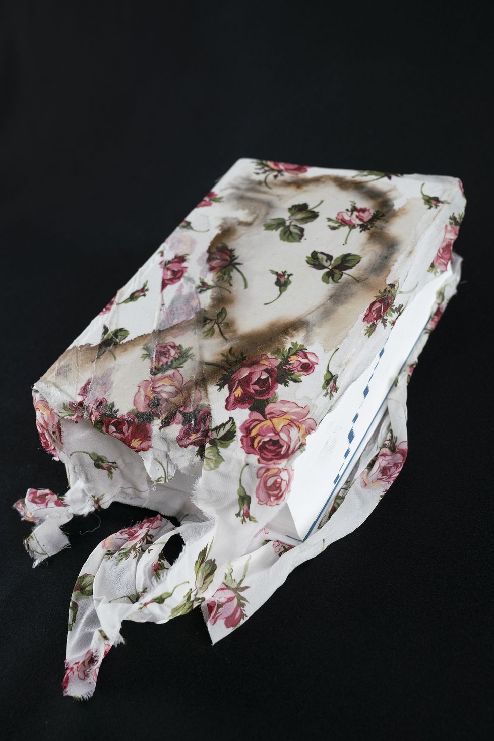 Textile, Handkerchief, Plant, Fashion accessory, Flower, Paper, 
