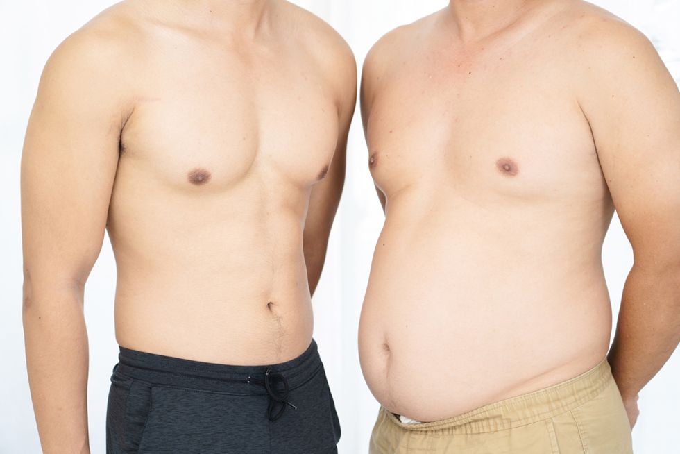 体脂肪率 男性,bmi 体脂肪率,理想,内臓脂肪レベル,